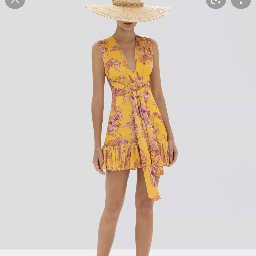 ALEXIS Cassara Mini Dress